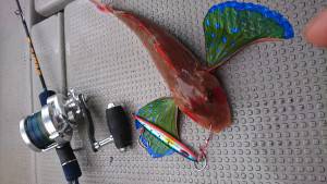 武士(SAMURAI) 釣果