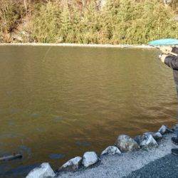 フィッシングエリア帝釈 釣果