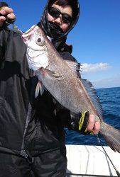 武士(SAMURAI) 釣果