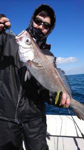 武士(SAMURAI) 釣果