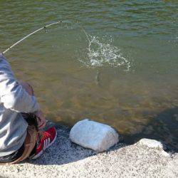 フィッシングエリア帝釈 釣果