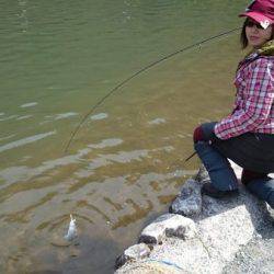 フィッシングエリア帝釈 釣果