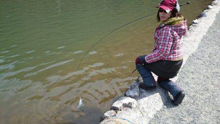 フィッシングエリア帝釈 釣果