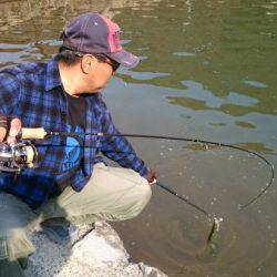 フィッシングエリア帝釈 釣果