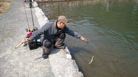 フィッシングエリア帝釈 釣果