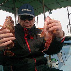 第二常豊丸 釣果