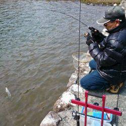 フィッシングエリア帝釈 釣果