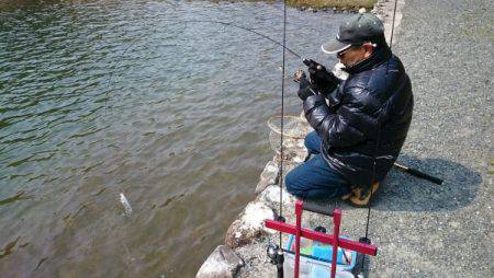 フィッシングエリア帝釈 釣果