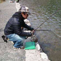 フィッシングエリア帝釈 釣果