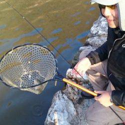 フィッシングエリア帝釈 釣果