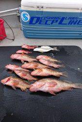 武士(SAMURAI) 釣果