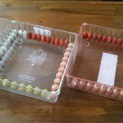 フィッシングエリア帝釈 釣果