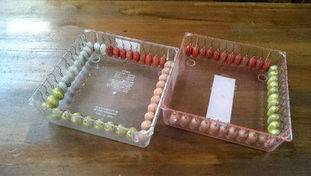 フィッシングエリア帝釈 釣果