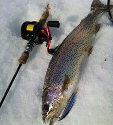 会津大川（会津非出資漁業協同組合） 釣果