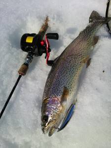 会津大川（会津非出資漁業協同組合） 釣果