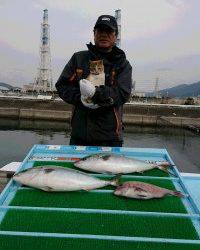 和歌山マリーナシティ釣り堀 釣果