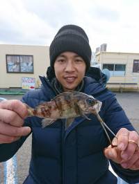 和歌山マリーナシティ釣り公園 釣果