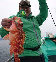 愛海丸 釣果