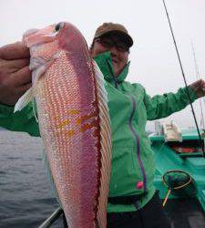 愛海丸 釣果