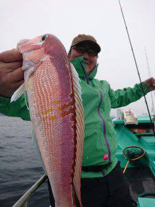 愛海丸 釣果