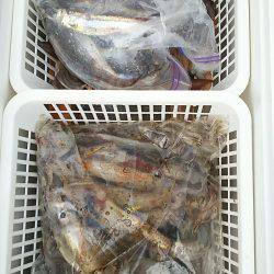 金剛丸 釣果