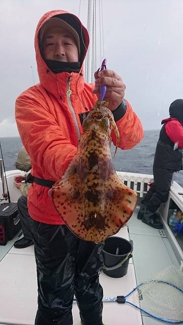 フィッシングボートACE(エース) 釣果