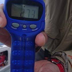 フィッシングボートACE(エース) 釣果