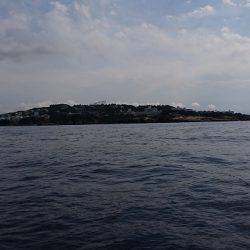 フィッシングボートACE(エース) 釣果