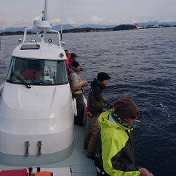 フィッシングボートACE(エース) 釣果