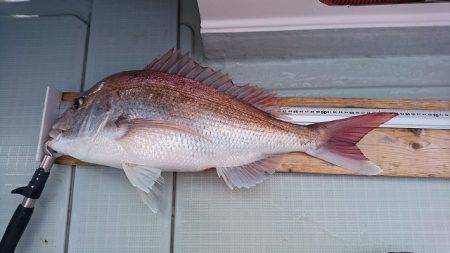 フィッシングボートACE（エース） 釣果