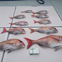 フィッシングボートACE(エース) 釣果