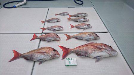 フィッシングボートACE（エース） 釣果