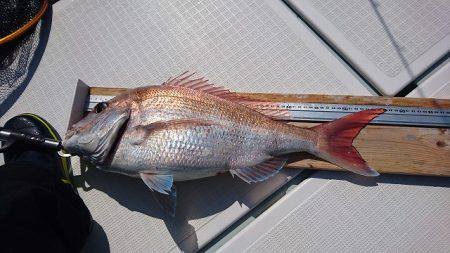 フィッシングボートACE(エース) 釣果