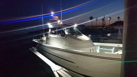 フィッシングボートACE(エース) 釣果