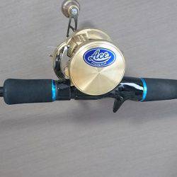 フィッシングボートACE(エース) 釣果