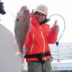 フィッシングボートACE(エース) 釣果