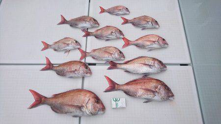 フィッシングボートACE(エース) 釣果