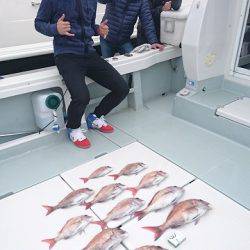 フィッシングボートACE(エース) 釣果