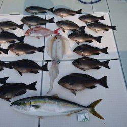 フィッシングボートACE(エース) 釣果