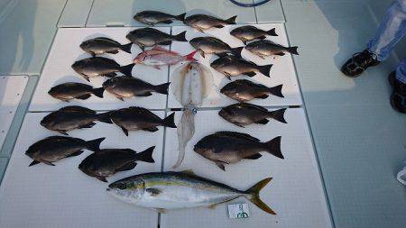 フィッシングボートACE(エース) 釣果