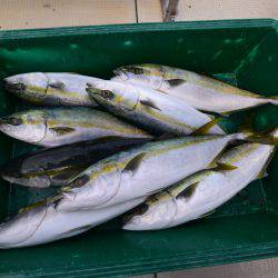 アジアマリンサービス 釣果