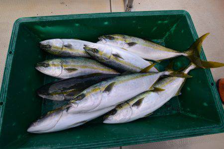 アジアマリンサービス 釣果