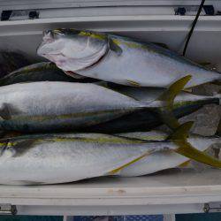 アジアマリンサービス 釣果