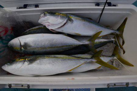 アジアマリンサービス 釣果