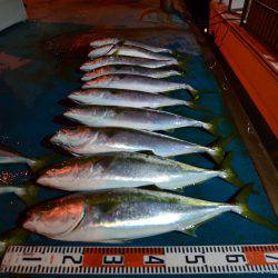 アジアマリンサービス 釣果