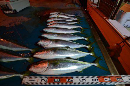 アジアマリンサービス 釣果