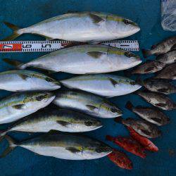 アジアマリンサービス 釣果