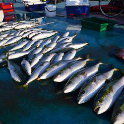 アジアマリンサービス 釣果