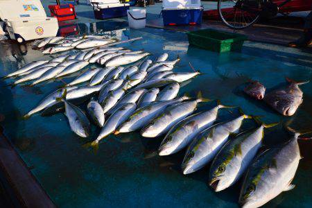 アジアマリンサービス 釣果