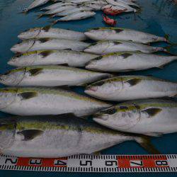 アジアマリンサービス 釣果